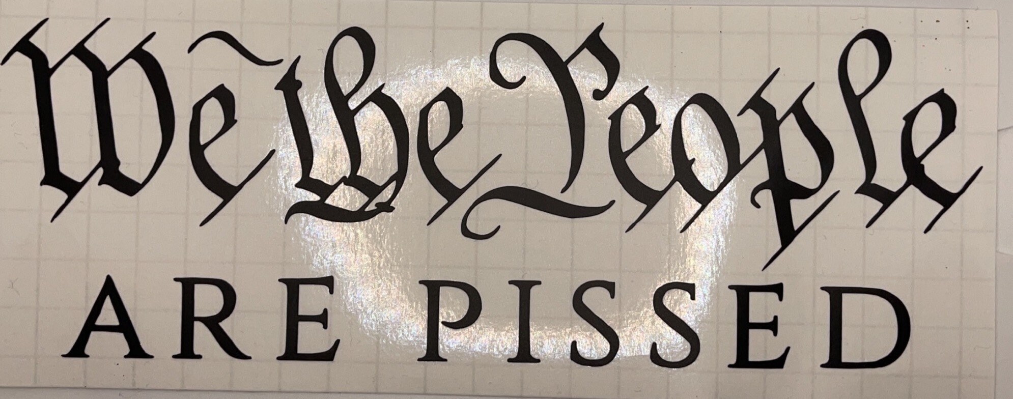 Anti Biden vinyl decal | Etsy