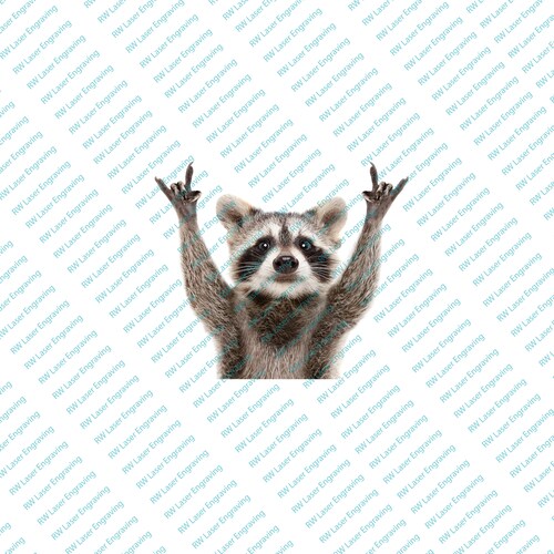 Raccoon rock sign sticker