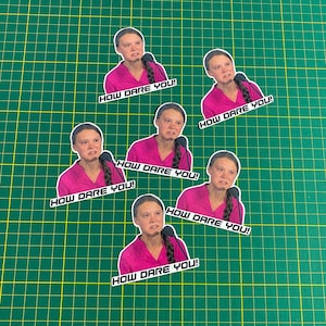 May include: Six stickers featuring a young woman with a pink shirt and the text "How Dare You!" repeated on each sticker.