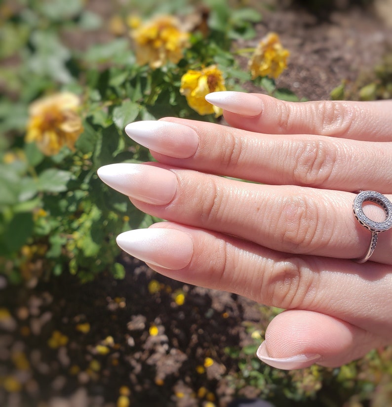 Press on Nails - French Ombre 