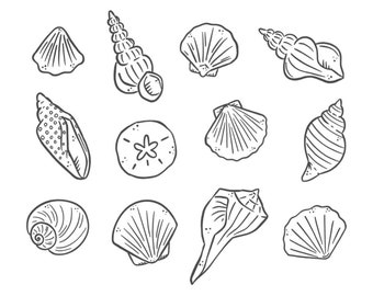 Seashells clipart • 12 hand drawn digital images • png, ocean, seashell, line art