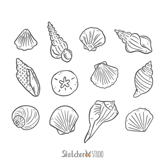 Seashells Clipart 12 Hand Drawn Digital Images Png, Ocean