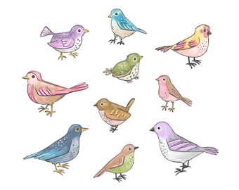 May include: A watercolor illustration of nine different birds in various colors, including pink, blue, green, yellow, and brown. The birds are all facing different directions and are drawn in a whimsical style. The illustration is signed "Sketchero Studio" in the bottom center.
