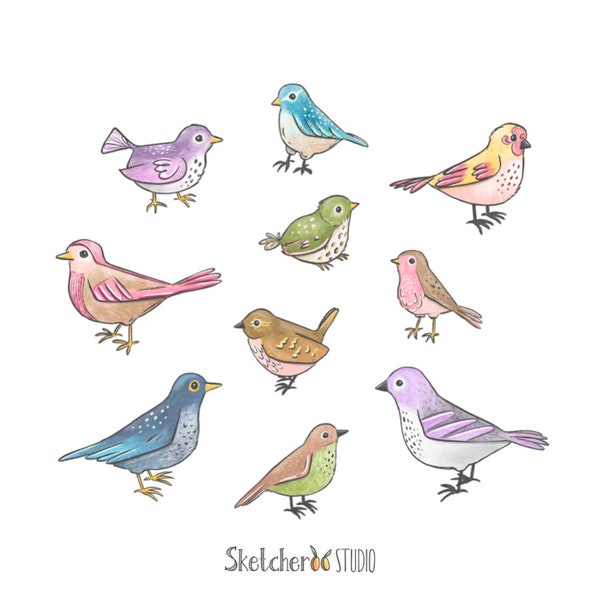 Garden birds clipart • 10 hand drawn digital images • png, bird, illustration, doodle