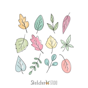 Peut inclure: Une collection de feuilles dessinées à la main de différentes formes et couleurs, dont le jaune, le vert et le rose, avec des contours noirs. Les feuilles sont disposées sur un fond blanc. Le texte "Sketcher Studio" est en bas.