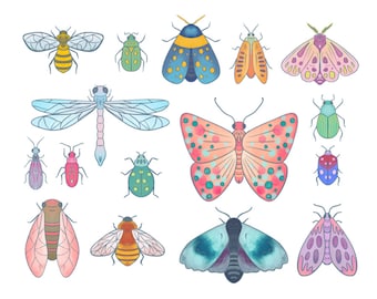 Pretty insect clipart • 16 hand drawn digital images •  png, insects, bugs, doodles