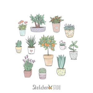 Puede incluir: Una colección de plantas en maceta de varios estilos y colores, incluyendo un cactus, una suculenta, lavanda y un pequeño árbol de naranja. Las macetas están decoradas con corazones, lunares y patrones geométricos. La imagen incluye el texto "Sketchero STUDIO".