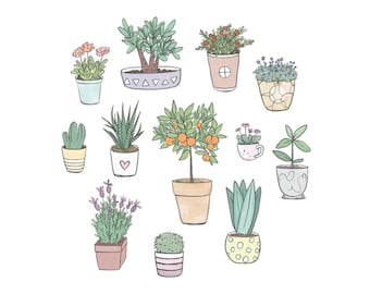 Potted plants clipart • 12 hand drawn digital images • png, plant, garden, illustrated