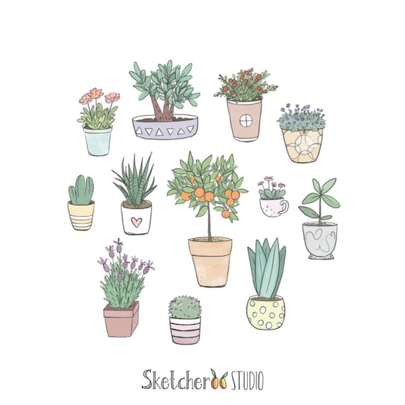 Potted Plants Clipart 12 Hand Drawn Digital Images With - Etsy