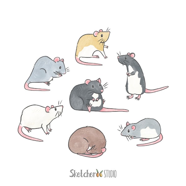 Pet rats • 7 hand drawn digital images • png, pets, ratties, cute, illustration