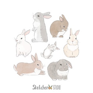 Bunny clipart • 7 hand drawn digital images • png, bunnies, rabbit, pet, illustrated