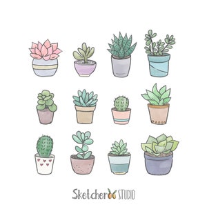 Clipart succulentes • 12 images numériques dessinées à la main • png, cactus, succulent, doodle