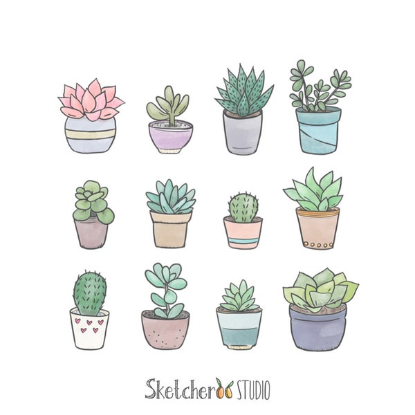 Succulents clipart • 12 hand drawn digital images • png, cactus, succulent, doodle