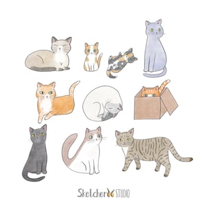 Kitty cat clipart • 10 hand drawn digital images • png, cats, illustrated, pet, cute