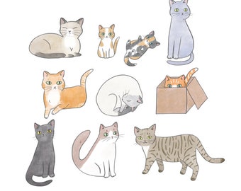 Kitty cat clipart • 10 hand drawn digital images • png, cats, illustrated, pet, cute