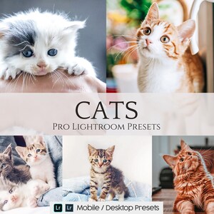 10 Mobile Lightroom Presets for Cats and Kittens -  Desktop Presets - Instagram Presets - Lifestyle Presets - iPhone Preset - Blogger Preset