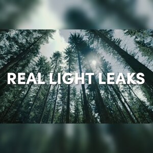 May include: An upward view of tall, green trees in a forest, with the sun shining through the branches. The text "REAL LIGHT LEAKS" is displayed in white across the image.