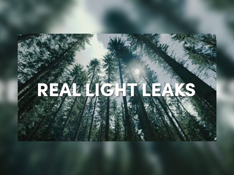 May include: An upward view of tall, green trees in a forest, with the sun shining through the branches. The text "REAL LIGHT LEAKS" is displayed in white across the image.