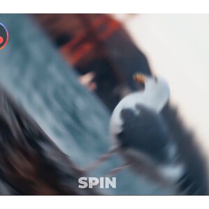 K&ouml;nnte beinhalten: Ein verschwommenes Bild mit einer M&ouml;we im Flug, mit einem Motion-Blur-Effekt. Das Wort "SPIN" ist unten sichtbar. Ein farbenfrohes Logo befindet sich in der oberen linken Ecke.
