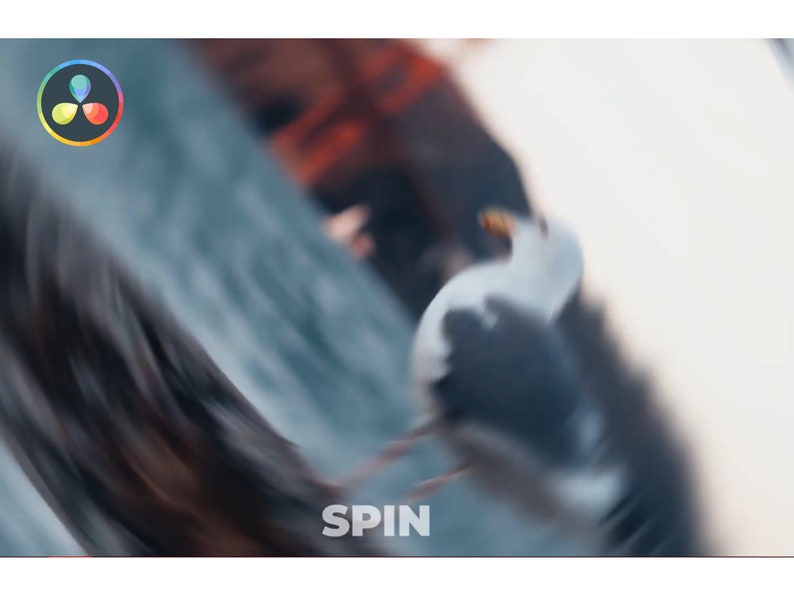 K&ouml;nnte beinhalten: Ein verschwommenes Bild mit einer M&ouml;we im Flug, mit einem Motion-Blur-Effekt. Das Wort "SPIN" ist unten sichtbar. Ein farbenfrohes Logo befindet sich in der oberen linken Ecke.