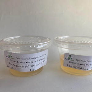 Plant tissue culture media, ready to use, sterile