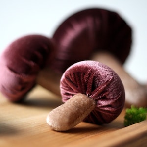 Mushroom decor — Create your own set of Boletus velvet
