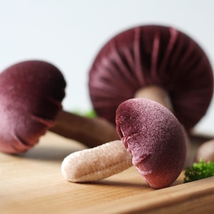 Mushrooms decor — Boletus velvet Set of 4