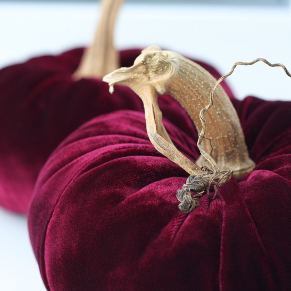 Velvet Pumpkins with Real Stems - Create your own set