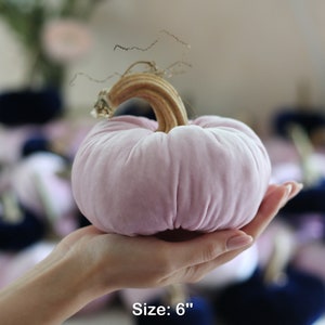 Velvet Pumpkins with Real Stems - Create your own set image 7