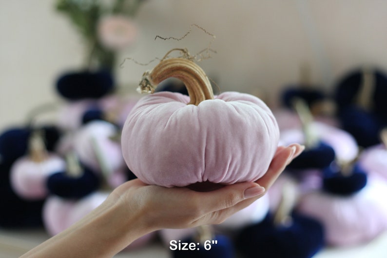 Velvet Pumpkins with Real Stems - Create your own set image 7