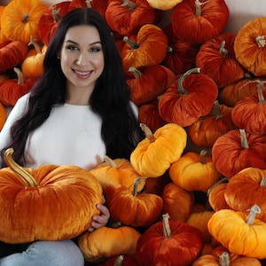Velvet Pumpkins with Real Stems - Create your own set image 3