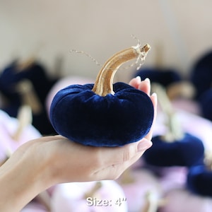 Velvet Pumpkins with Real Stems - Create your own set image 6
