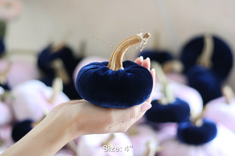 Velvet Pumpkins with Real Stems - Create your own set image 6
