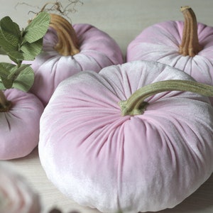 Velvet Pumpkins with Real Stems - Create your own set image 11