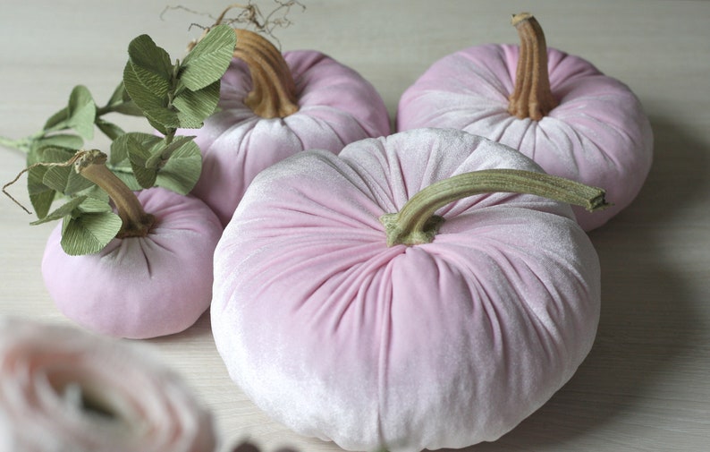 Velvet Pumpkins with Real Stems - Create your own set image 11