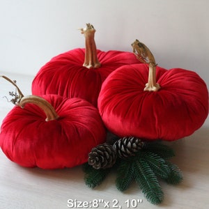 Velvet Pumpkins with Real Stems - Create your own set image 9