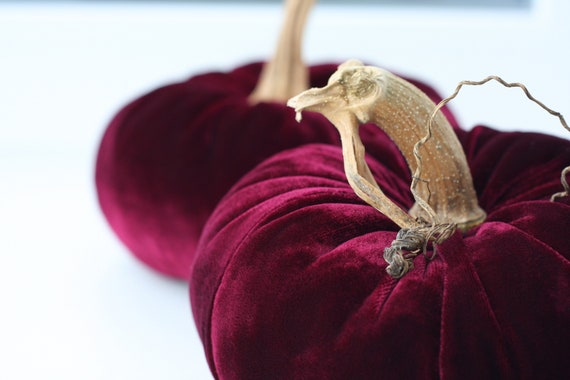 Velvet Pumpkins with Real Stems - Create your own set
