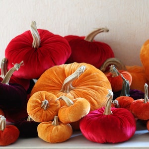Velvet Pumpkins with Real Stems - Create your own set image 5