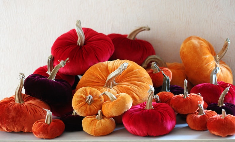 Velvet Pumpkins with Real Stems - Create your own set image 5
