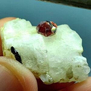 May include: A red and brown gemstone with a faceted surface is mounted on a white, crystalline matrix. The matrix has a rough, textured surface.