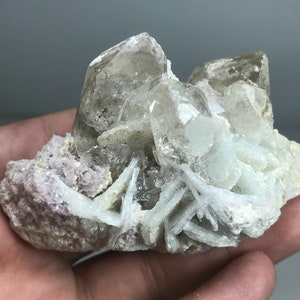 Puede incluir: Un grupo de cristales de cuarzo transparentes con un tono marrón ahumado, colocados en una matriz de roca blanca y gris claro. Los cristales son nítidos y bien definidos, con algunos cristales más pequeños dispersos alrededor de la base.