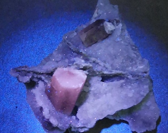 May include: A cluster of pink and purple crystals embedded in a white, rocky matrix. The crystals are translucent and have a slight shimmer.