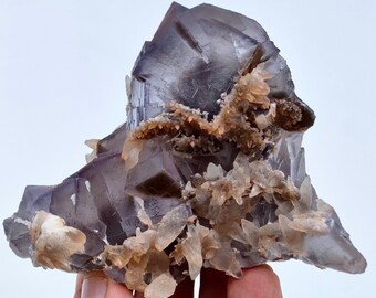 Op de afbeelding: Een grote paarse fluorietkristalcluster met kleinere, bruine calcietkristallen. De fluoriet heeft een glazige glans en de calcietkristallen zijn doorschijnend.