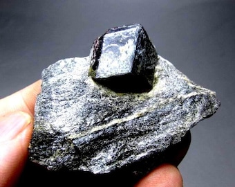 アンドラダイト ガーネット var.メラナイト結晶鉱物標本 - Etsy 日本