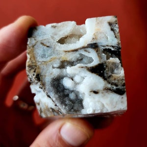 May include: A white and black agate geode with a natural crystal formation. The geode has a rough, textured exterior and a smooth, polished interior. The crystal formation is white and translucent, with a variety of shapes and sizes.