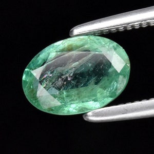 May include: A vibrant green oval-shaped emerald gemstone with a faceted cut, held in tweezers against a black background.