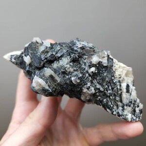 Large Tourmaline Crystal Cluster Tourmaline Shorl Tourmaline on Matrix Tourmaline with Smoky Quartz Crystal Tourmalinated Quartz +Free Gift
