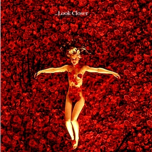 American Beauty Cast Autograph Kevin Spacey Mena Suvari