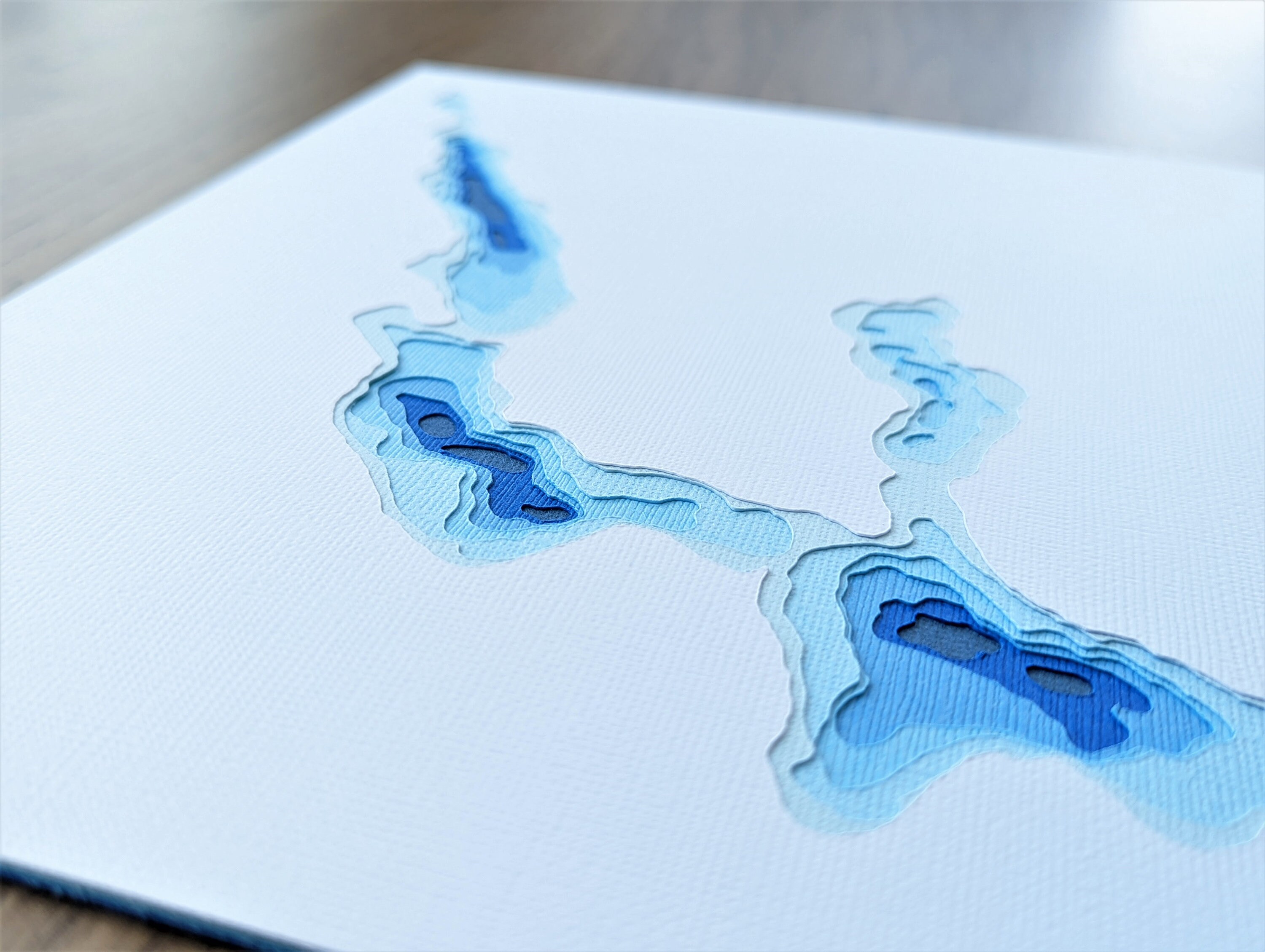 Walloon Lake Michigan Bathymetric Depth Chart Topographic Map