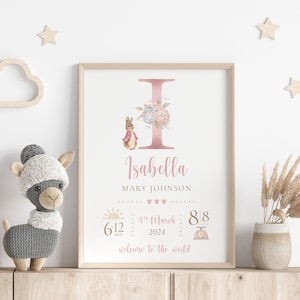 Impresión personalizada para bebé recién nacido / Regalo con detalles de nacimiento / Impresión de recuerdo / Regalo para bebé recién nacido / Bebé niña recién nacida / Regalo para recién nacido / Impresiones rosas